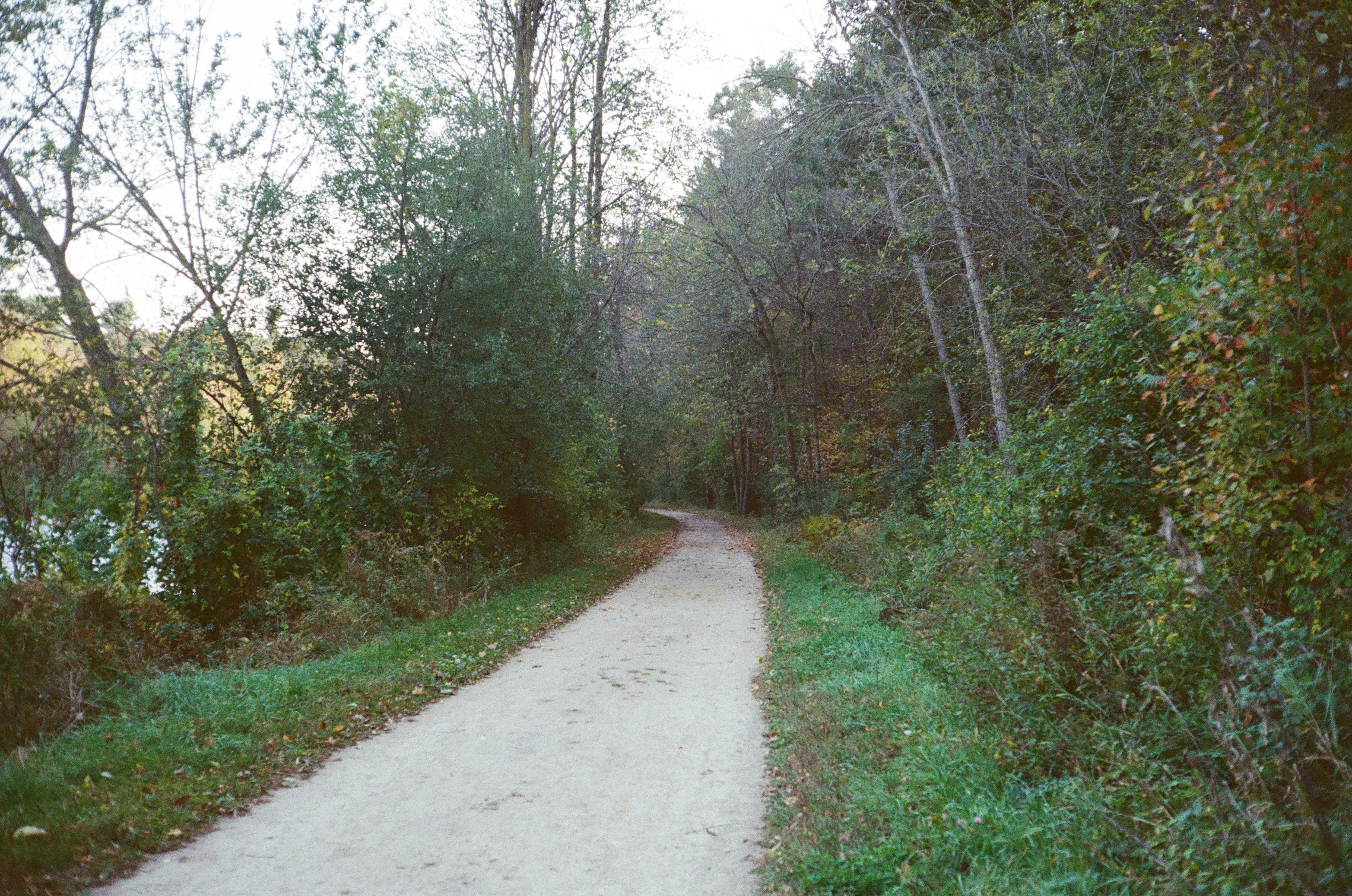 Red Cedar Trail, Menomonie WI - Curve Down the Trail